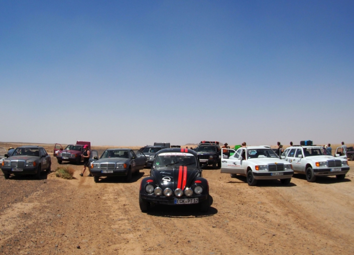 Rallyekäfer auf dem Weg nach Zagora Marokko